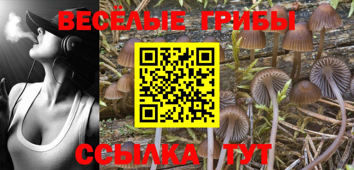 Псилоцибиновые грибы прущие грибы Елизово