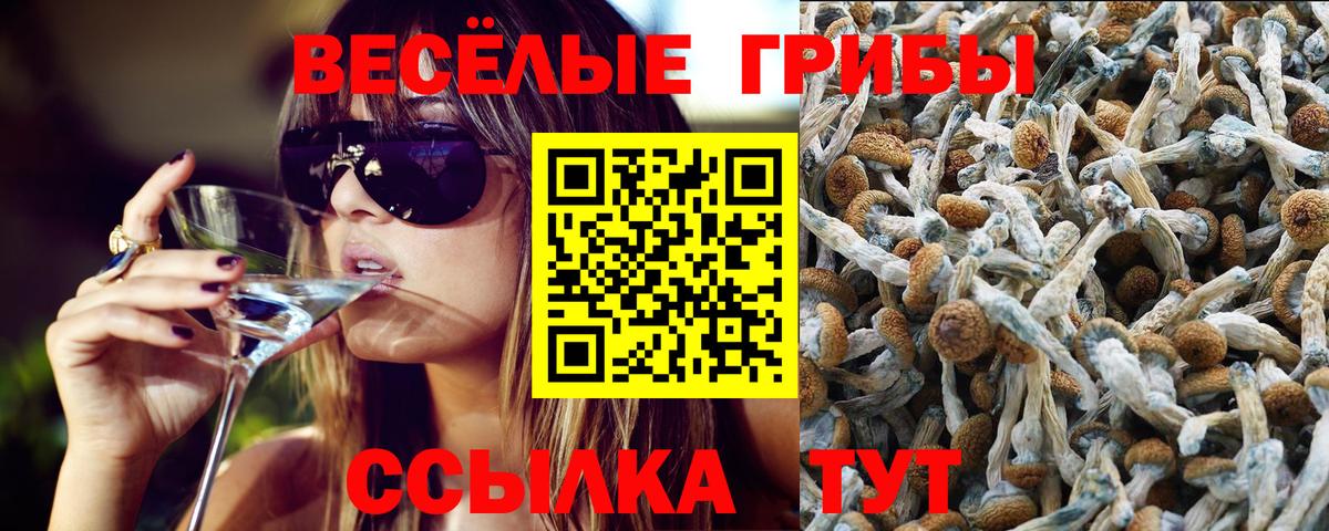 Галлюциногенные грибы мухоморы  Вход с VPN  Елизово 
